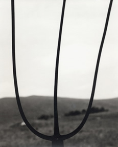 photography by Alice Garik