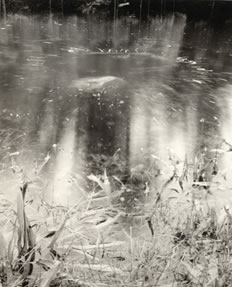 photography by Alice Garik