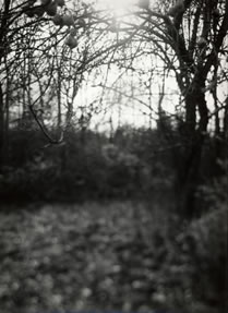 photography by Alice Garik