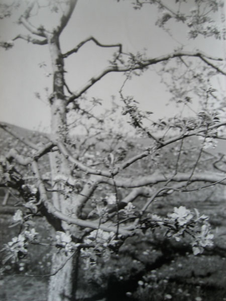 photography by Alice Garik