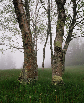 photography by Alice Garik