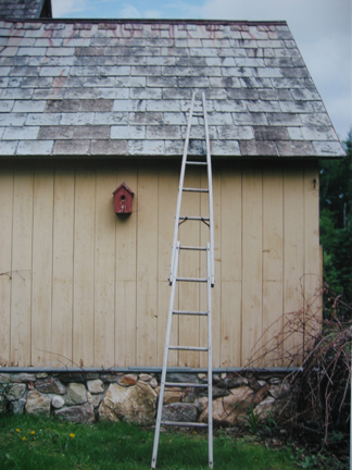 photography by Alice Garik