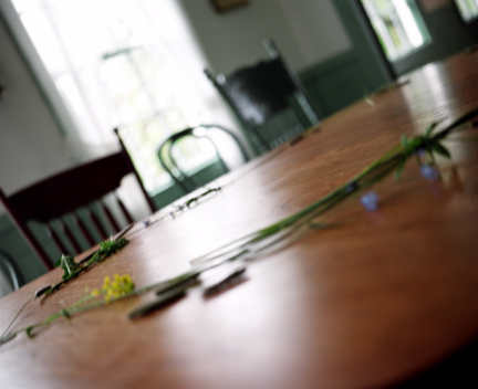 photography by Alice Garik