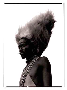 photography by Elizabeth Gilbert