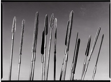 photography by Elizabeth Gilbert