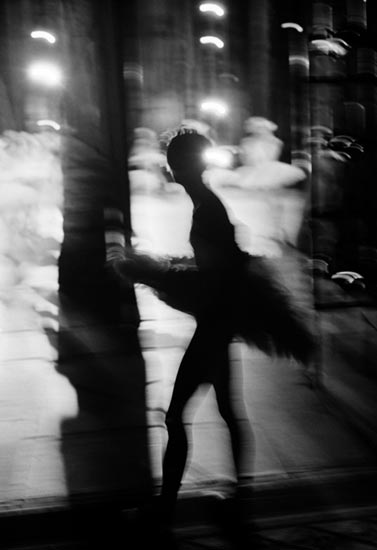 photography by John Goodman