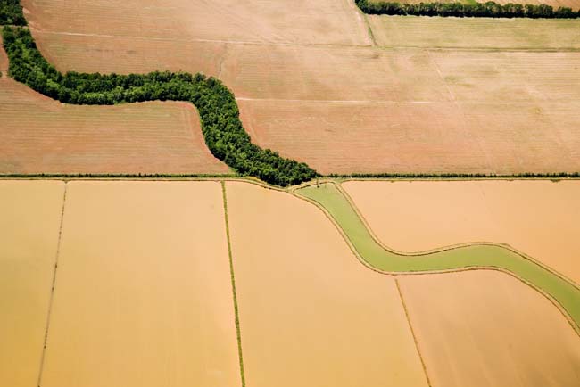 photography by John Griebsch