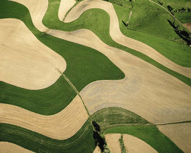 photography by John Griebsch