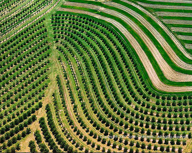photography by John Griebsch
