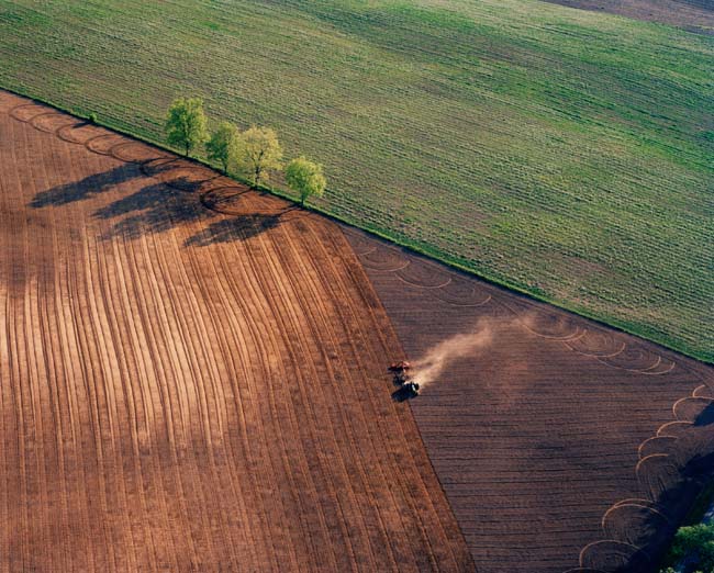 photography by John Griebsch