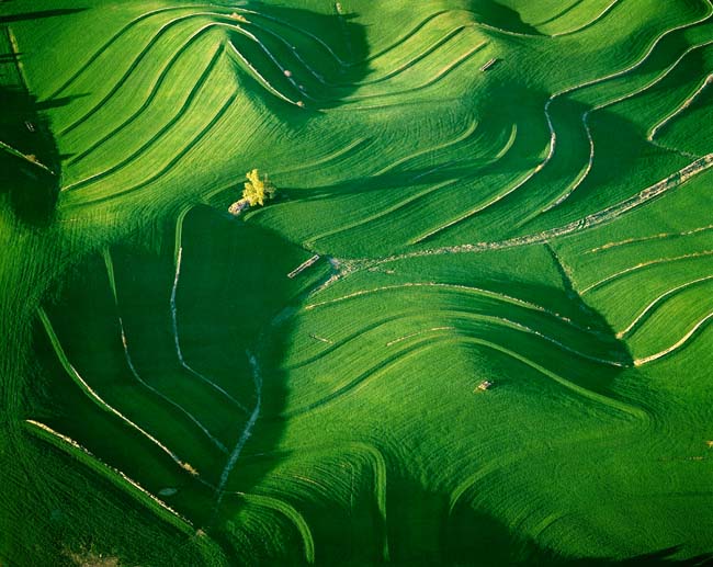photography by John Griebsch