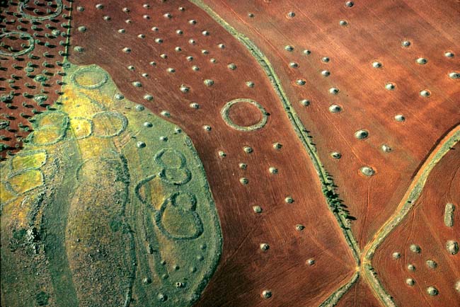 photography by John Griebsch