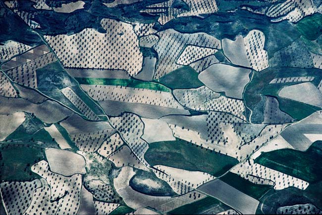 photography by John Griebsch