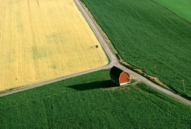 photography by John Griebsch