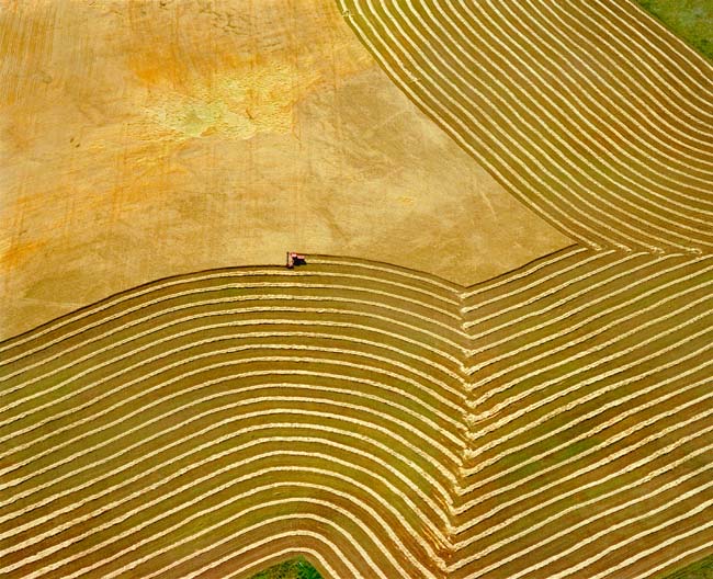 photography by John Griebsch