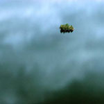 Celebrating the Wet Planet