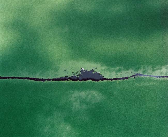 photography by John Griebsch