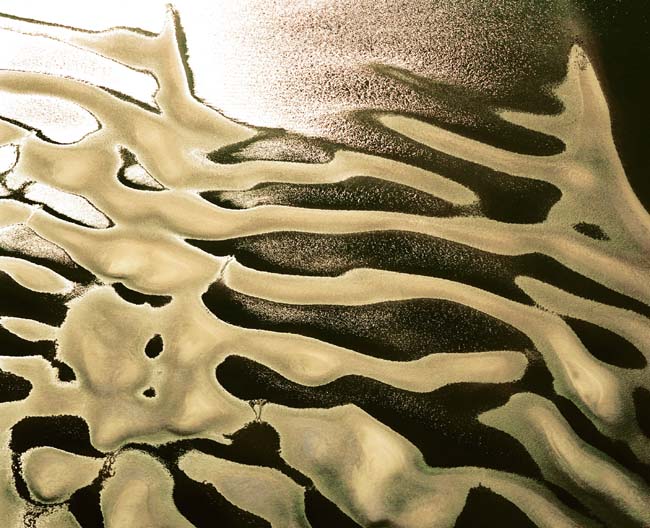 photography by John Griebsch
