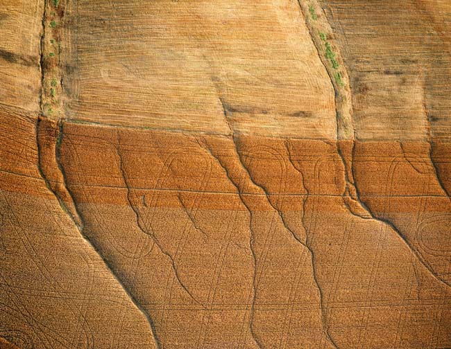 photography by John Griebsch