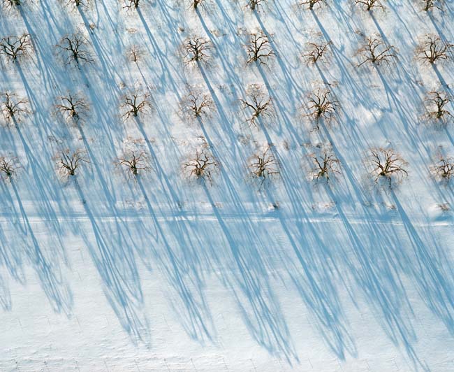 photography by John Griebsch