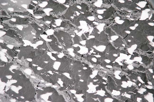 photography by John Griebsch