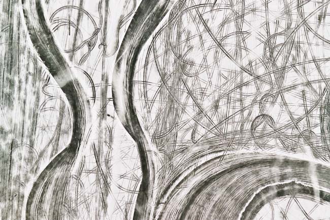 photography by John Griebsch