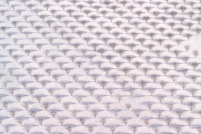 photography by John Griebsch