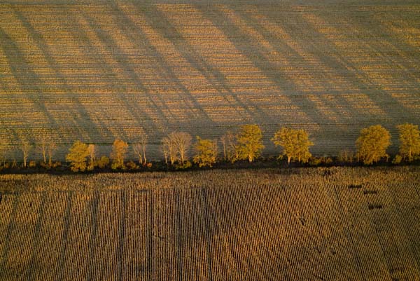 photography by John Griebsch