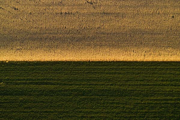 photography by John Griebsch