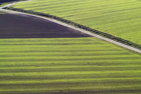 photography by John Griebsch