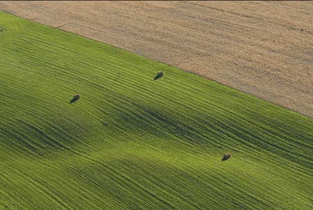 photography by John Griebsch