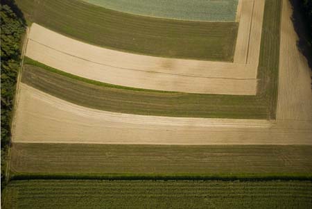 photography by John Griebsch