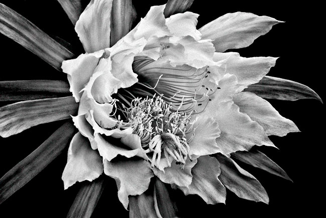 photography by Barry Guthertz
