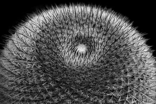 photography by Barry Guthertz