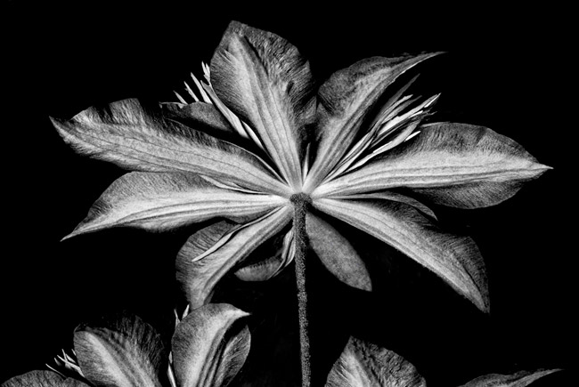 photography by Barry Guthertz