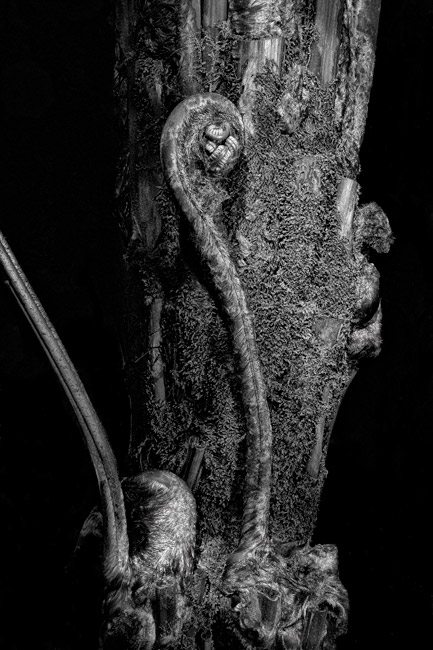 photography by Barry Guthertz