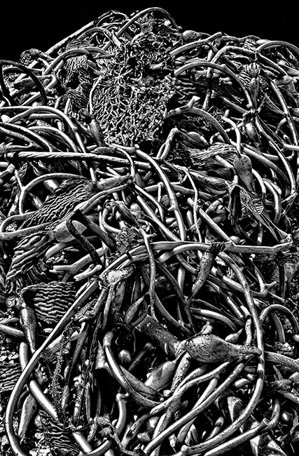 photography by Barry Guthertz