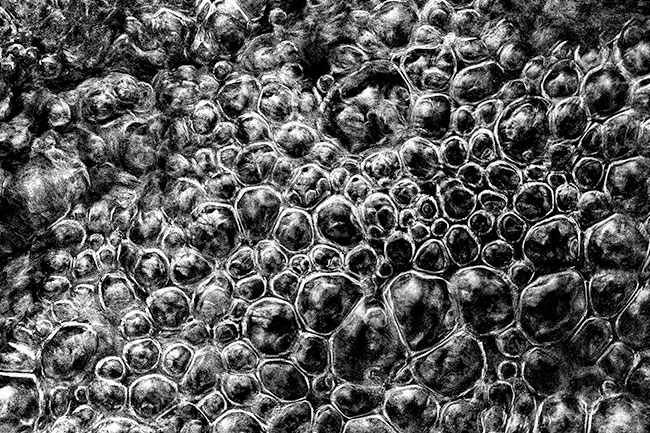 photography by Barry Guthertz