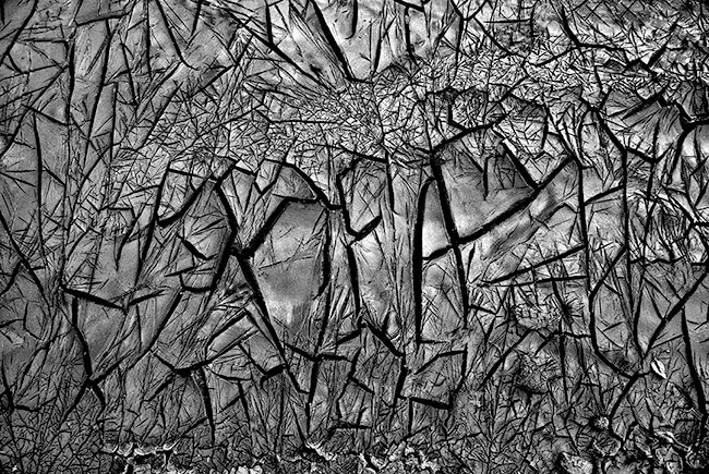 photography by Barry Guthertz