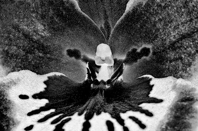 photography by Barry Guthertz