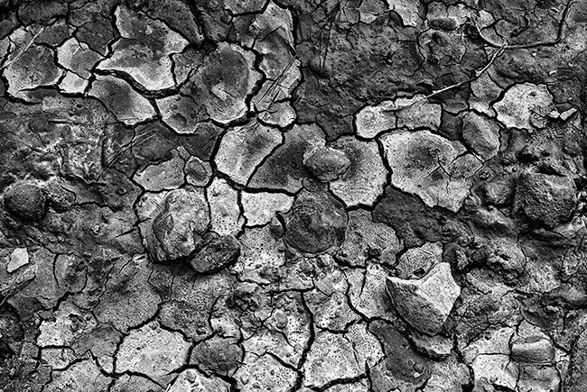 photography by Barry Guthertz