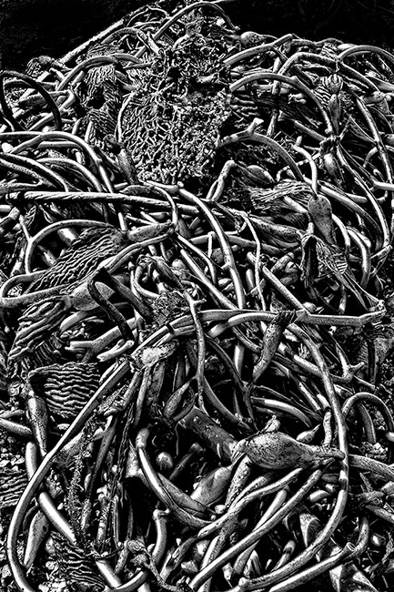 photography by Barry Guthertz