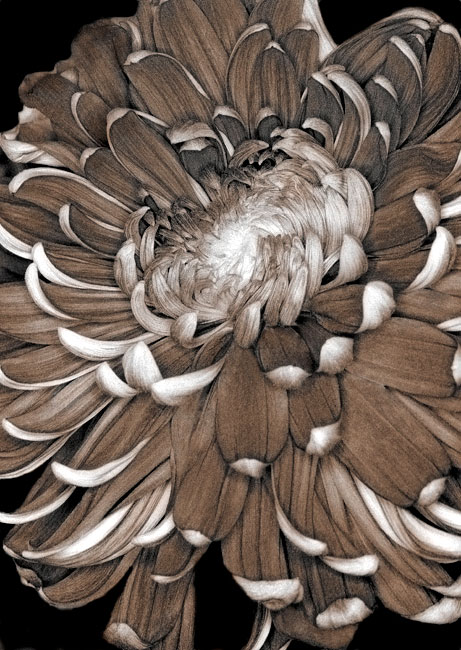 photography by Barry Guthertz