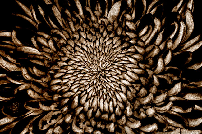 photography by Barry Guthertz