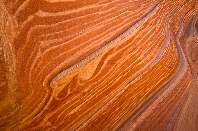 photography by Barry Guthertz