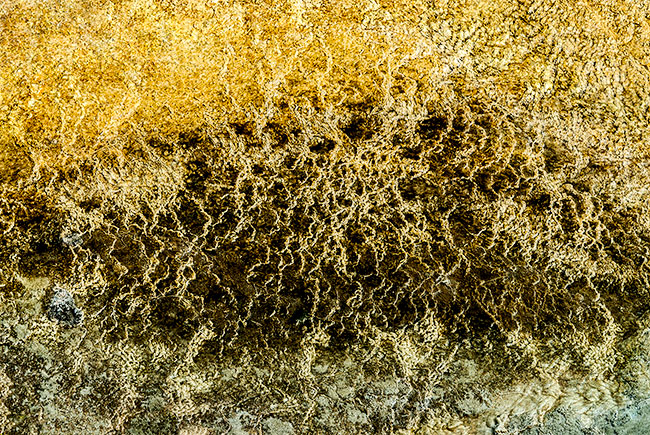 photography by Barry Guthertz