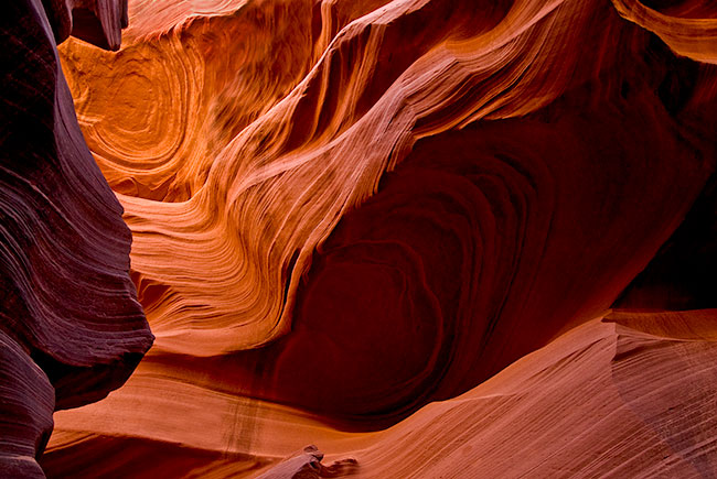 photography by Barry Guthertz