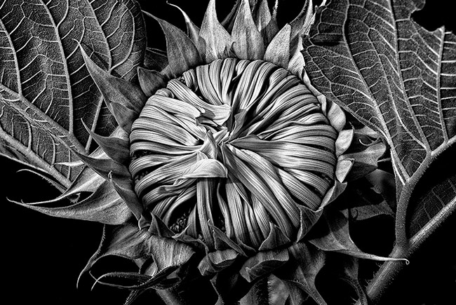 photography by Barry Guthertz