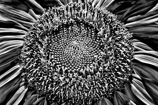 photography by Barry Guthertz