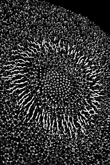 photography by Barry Guthertz